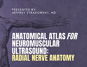 Anatomical Atlas For Neuromuscular Ultrasound: Radial Nerve Anatomy