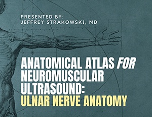 Anatomical Atlas For Neuromuscular Ultrasound: Ulnar Nerve Anatomy