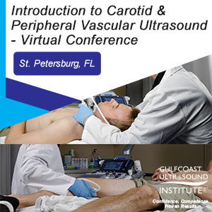 Introduction to Carotid & Peripheral Vascular Duplex/Color Flow Imaging