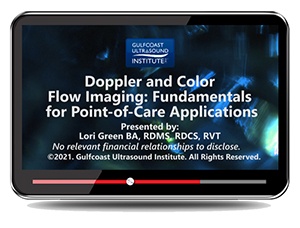 Doppler and Color Flow Imaging: Fundamentals for Point-of-Care Applications