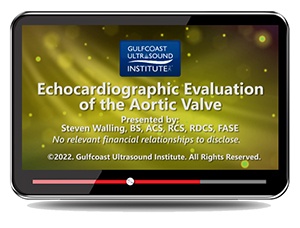 Echocardiographic Evaluation of the Aortic Valve 