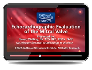 Echocardiographic Evaluation of the Mitral Valve 