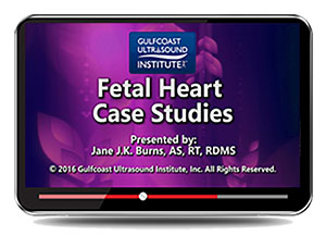 Fetal Heart Case Studies