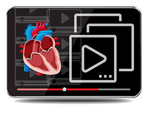 Introduction to Adult Echocardiography Course Pack