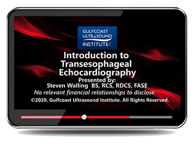 Introduction to Transesophageal Echocardiography