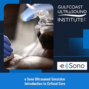 E Sono Ultrasound Simulator - Introduction to Critical Care Ultrasound