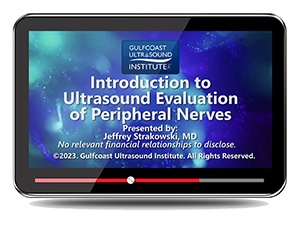 Introduction to Ultrasound Evaluation of Peripheral Nerves - Online Video