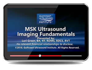 MSK Ultrasound Imaging Fundamentals