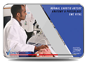 Normal Carotid Anatomy and Physiology