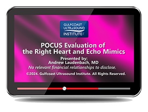 POCUS Evaluation of the Right Heart and Echo Mimics