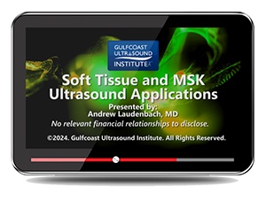 Soft Tissue and Musculoskeletal Ultrasound Applications