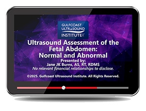 Ultrasound Assessment of the Fetal Abdomen: Normal and Abnormal 