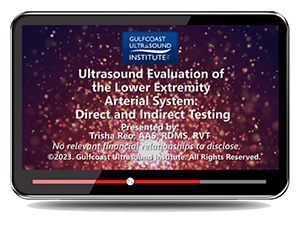 Ultrasound Evaluation of the Lower Extremity Arterial System: Direct and Indirect Testing