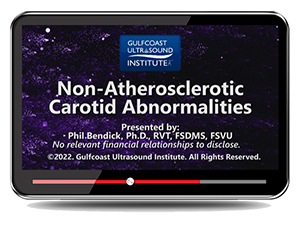 Ultrasound Evaluation of Non-Atherosclerotic Carotid Abnormalities