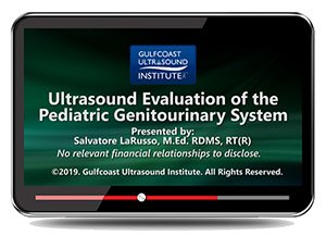 Ultrasound Evaluation of the Pediatric Genitourinary System