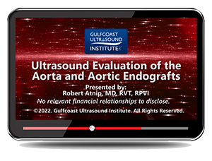 Ultrasound Evaluation of the Aorta and Aortic Endografts
