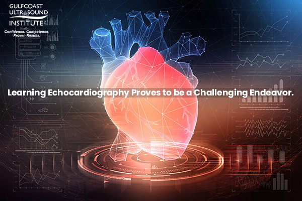 Learning Echocardiography Proves to be a Challenging Endeavor