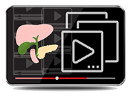 CME - Introduction to Abdominal Ultrasound Course Pack