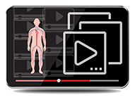 CME - Introduction to Peripheral Vascular Ultrasound Course Pack